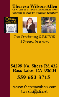 Theresa Wilson-Allen, Realtor