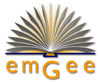 emGee Software Solutions